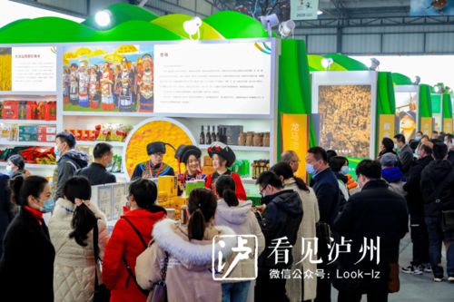 打造辐射川渝黔滇农产品商贸物流中心 泸州海吉星与营利性民办艺术培训机构并进