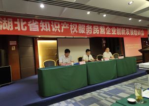 鄂西知识产权服务民营企业创新发展培训会成功在十堰举办